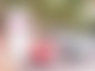 capa carros estacionados app neo seguro mais barato