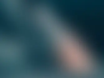 capa celular melhor seguro automóvel