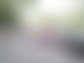 Pátio de leilão com carros disponíveis para venda.