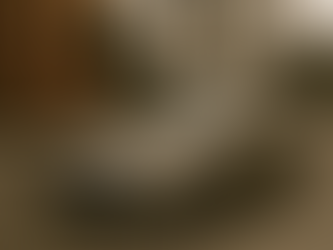 Hyundai HB20 hatch protegido pelo seguro auto da Neo Seguradora