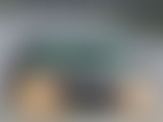 capa carro região alagamento sp