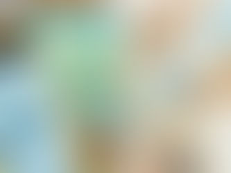 capa celular dinheiro pagar IPVA 2024