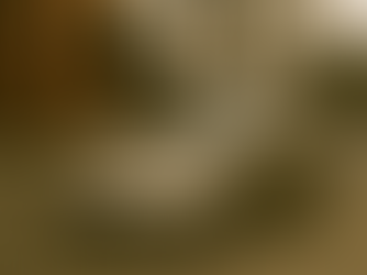 Tabela Fipe HB20 2014: valores e versões atualizadas