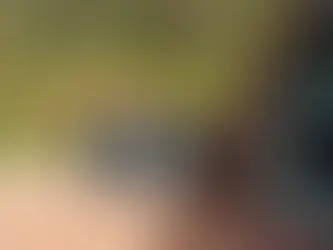 capa retrovisor quebrado seguro cobre