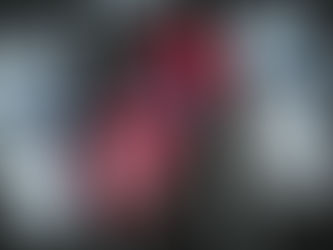 Seguro Auto: qual o melhor? Veja por que a Neo Seguradora se destaca