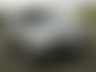 capa cotação seguro fiat palio